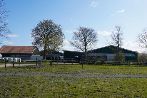 Reit- und Fahrverein Borgstedt und Umgebung e.V.