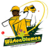 Cricket Mannschaft Wüstenblumen